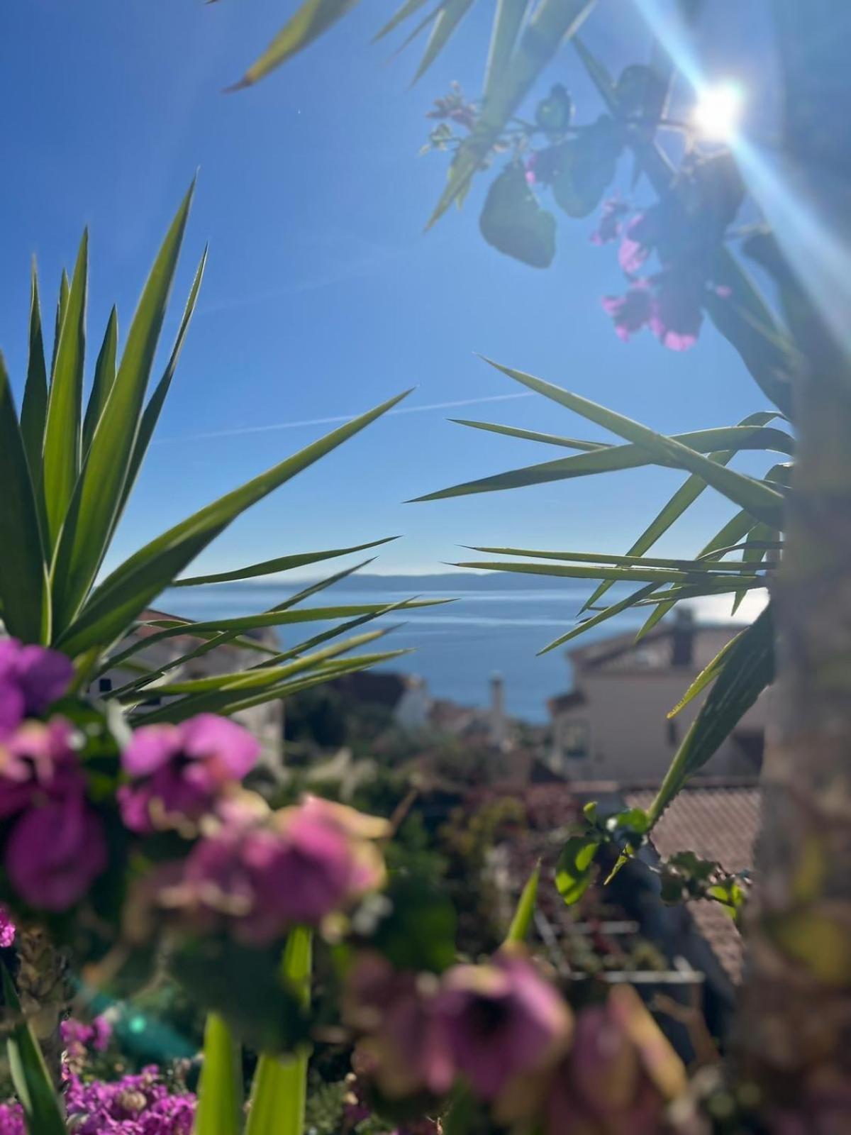 Trogir Ciovo Big Seaview Apartment Near The Sea Exteriör bild